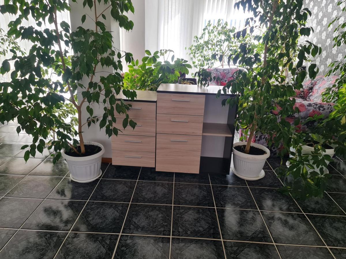 Hotel Rai Obrochishte المظهر الخارجي الصورة